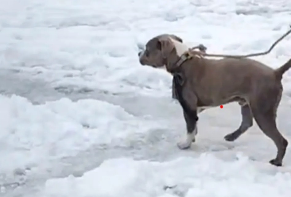 19e5b281e7bd91e7baa2e788ace99baae5b1b1e6b4bbe6b4bbe586bbe6adbbefbc81e38080e788b1e78aace9a1b6e69ab4e9a38ee99baae2809ce5ae88e5b0b84