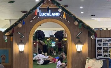 沙地商场设“童犬游乐场” 大马连带狗进商场都变课题