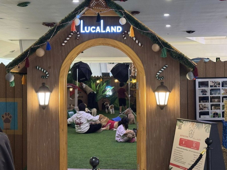 1febd45fbc8223a250120b36142792ff