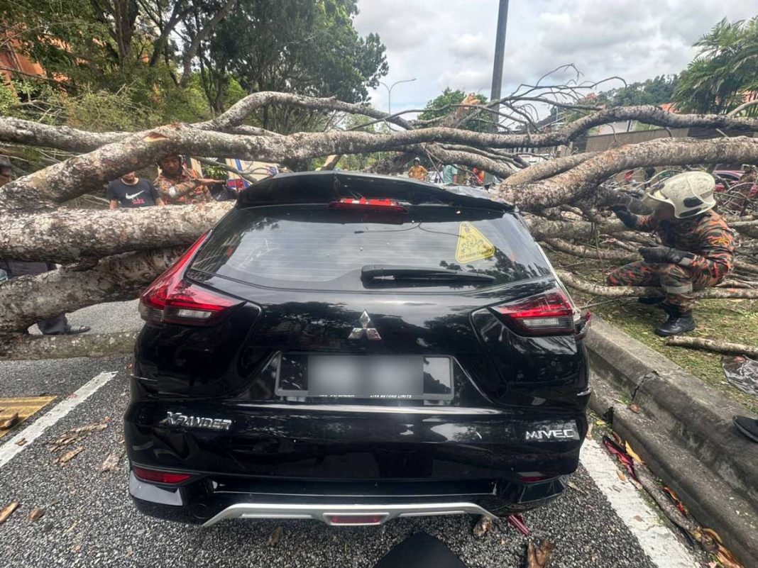 20260216CPKK31c_SHAH_ALAM_TREE_COLLAPSED_CR260216LKMz05-133029