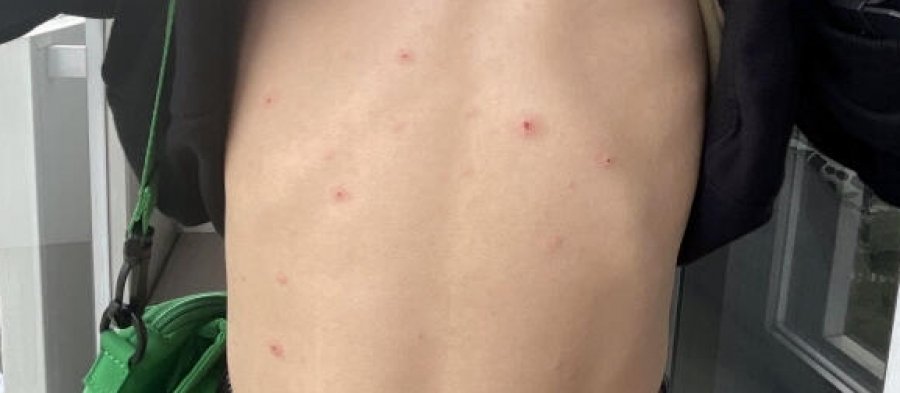 32b4b9588d4876d3e557c85e5e378d72