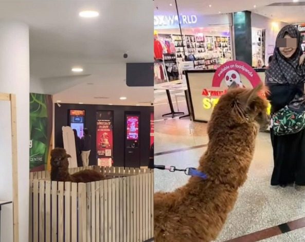 3fe297c6256dda6882b707d0985a887f