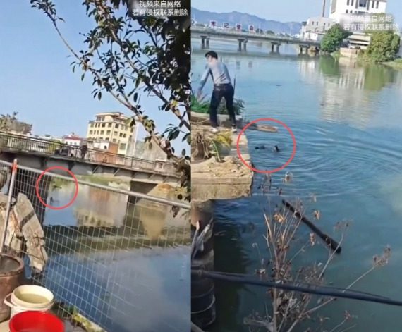 4b389f62cccf19bbcef50dc865ca2458