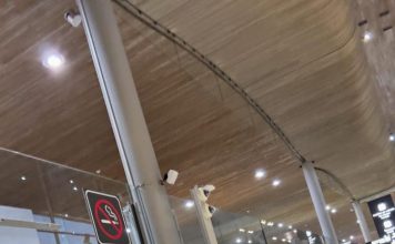 影后变小女人 杨紫琼手捧鲜花机场等夫