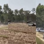 公象疑不满被交配 暴走撞碎饲主肺部