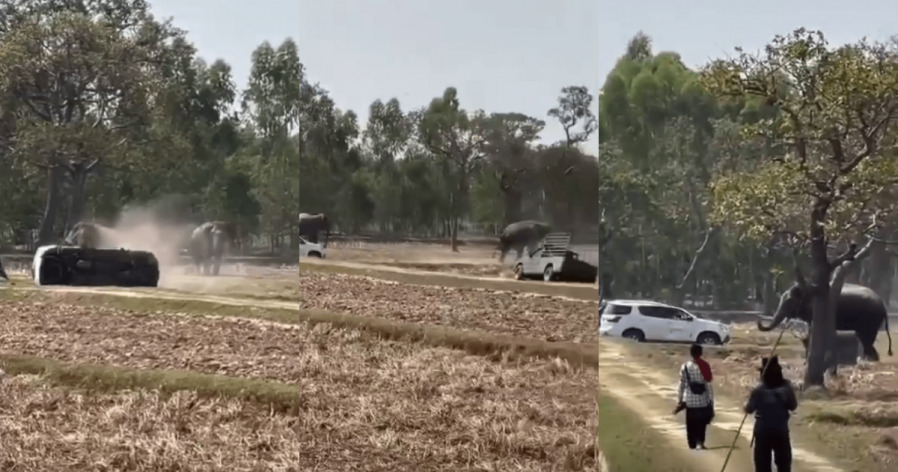 6ae4316778eec326757c6031a5ab75ba