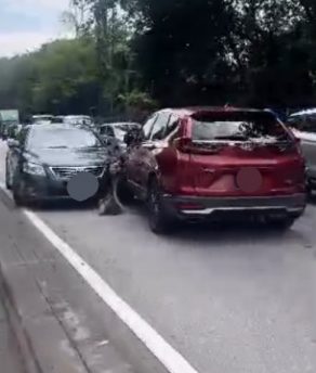 6d97eda0e9db994469641659ae2d588a