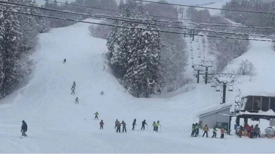 995ce6c3b877e2d34e4ce4fbbde98519