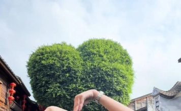 TVB绿叶王带女入行 李国麟父女首演古装剧