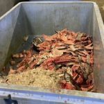 黑心人气居酒屋 偷鱼骨炸给客人吃