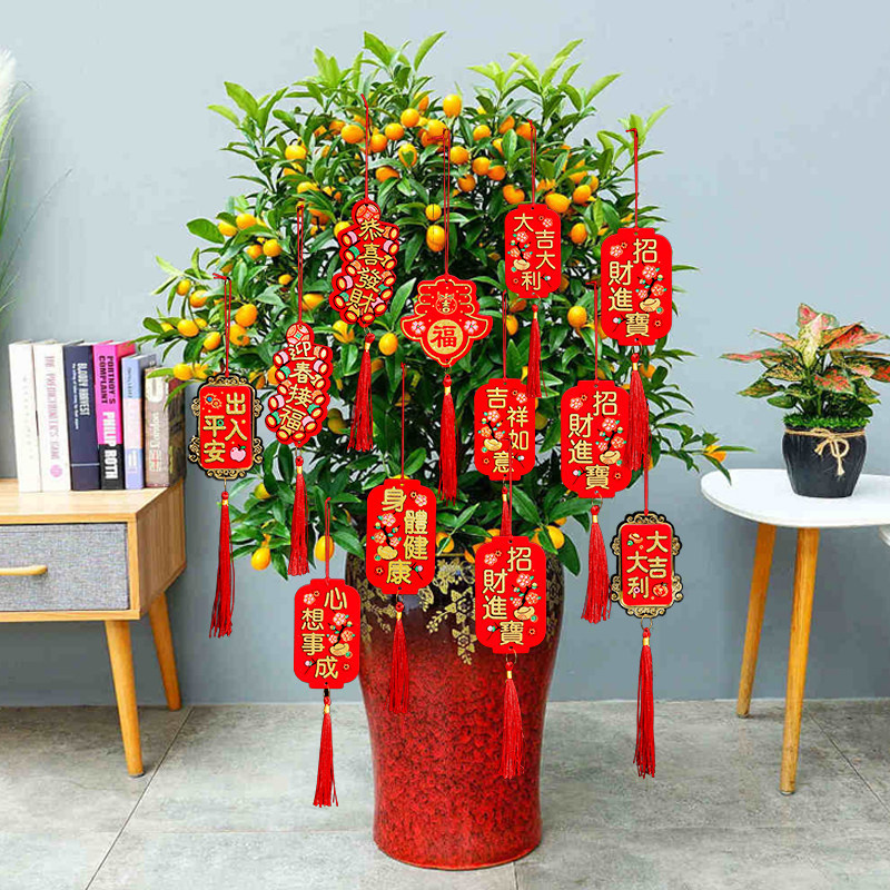 O1CN01Ed78g02MQzaNBHosL_46116860