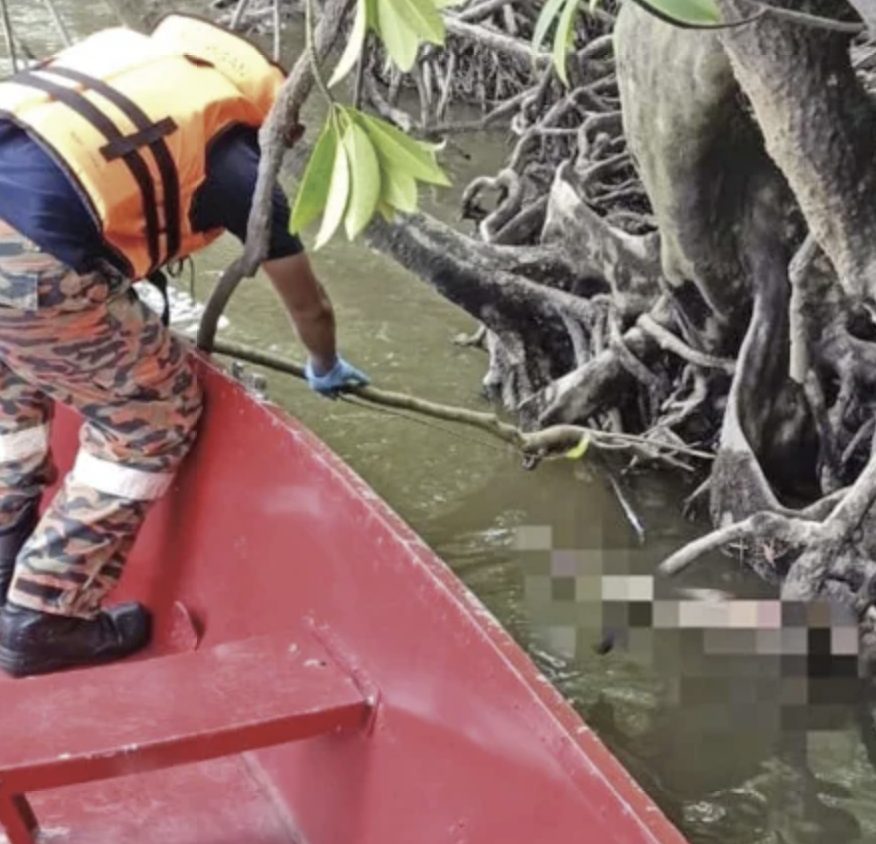 Screenshot 2026-02-01 130807