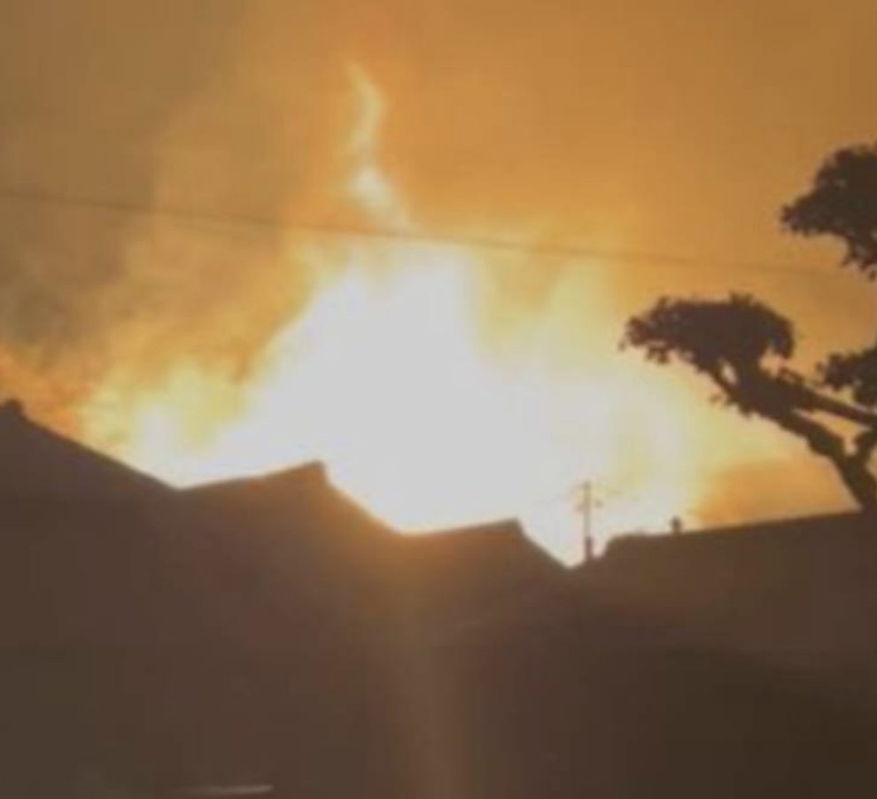 Screenshot 2026-02-20 171305