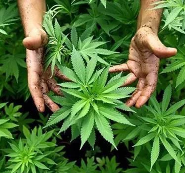 W020200830012364028947