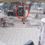 顽童活火焚烧萨摩耶 家长竟反呛:不就一条狗?