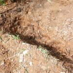 女尸遭毁容丢公路 警方靠AI揭发冷血男杀机