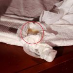 将男顾客强拽入店内“服务” 7按摩女遭警方逮捕