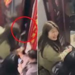 一家除夕进不了门 靠猫咪从内部解锁救全家