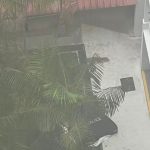 大年初二惊传坠楼 女子当场身亡