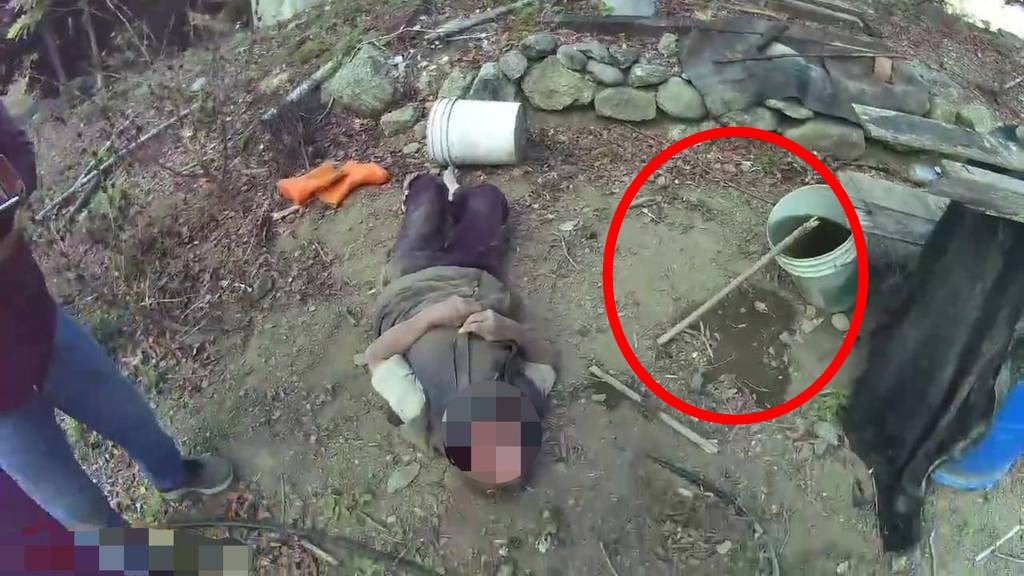 e4b883e697ace7bf81e88f9ce59bade8b78ce58092e8baba3e5a4a9-e99da0e69ca8e6a38de88894e6b0b4e4bf9de4b880e591bd