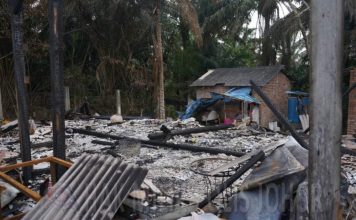 油棕园惊现6具骨骸 母子及友人全遇害