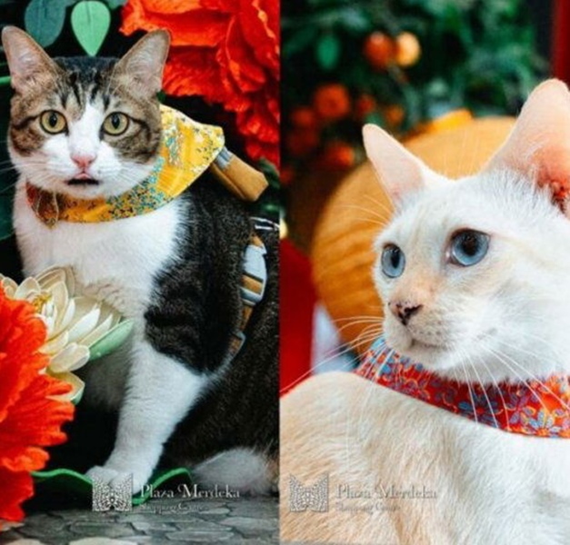 ee49f8865f0b6e6f2bc7bcf44d7fcbcc