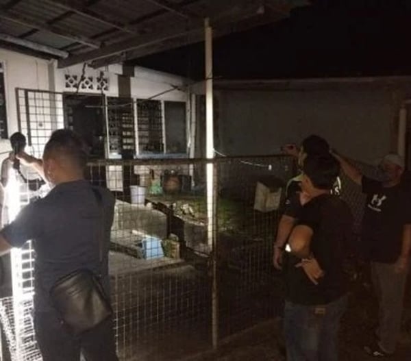 elderly-man-collapsed-home-260223-a1-noresize