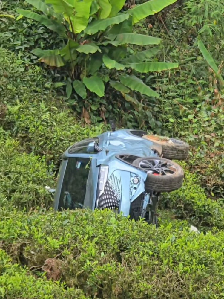 f40897cd-2dbd-42b3-8d19-61f4ca5a1a93