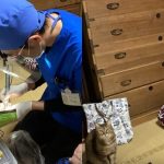 上门看牙最大压力竟是猫?牙医晒照引爆讨论