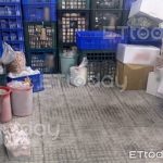 受困零下20度冰柜不求救 女工离奇冻死