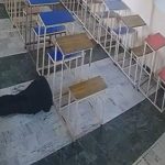 男大生校园求婚遭拒 掏枪爆头女子后轻生