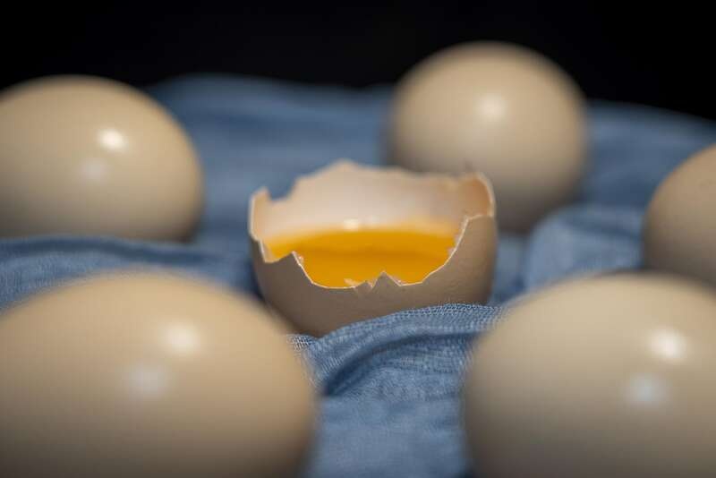 img_96b5514d796cf0118e1aeef4f4a4