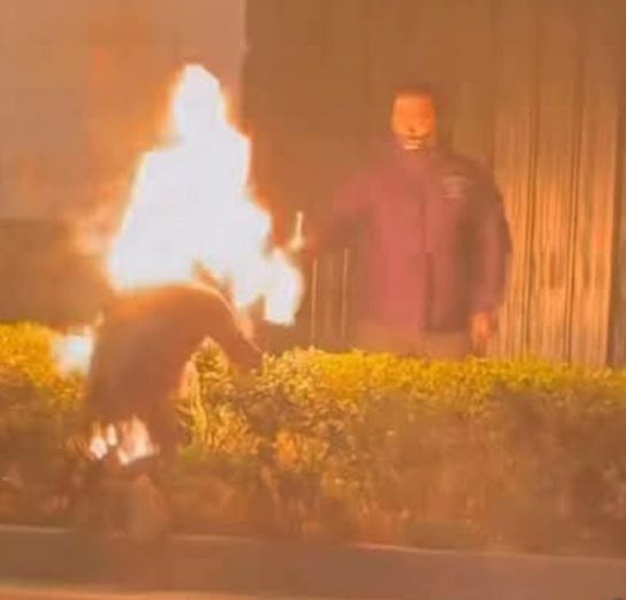 photo_2026-02-03_14-09-59