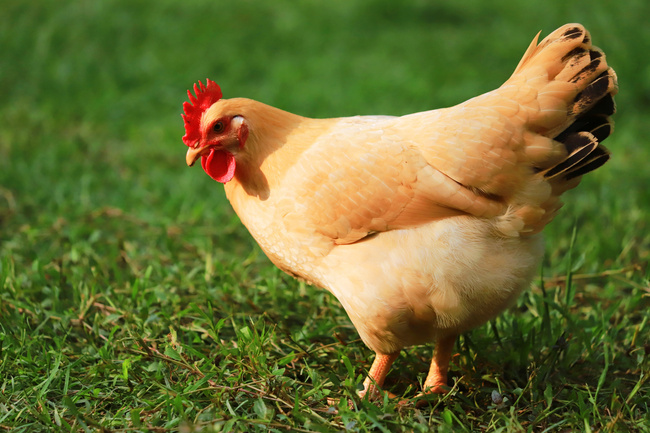 pic_5tu_big_202408050905359241