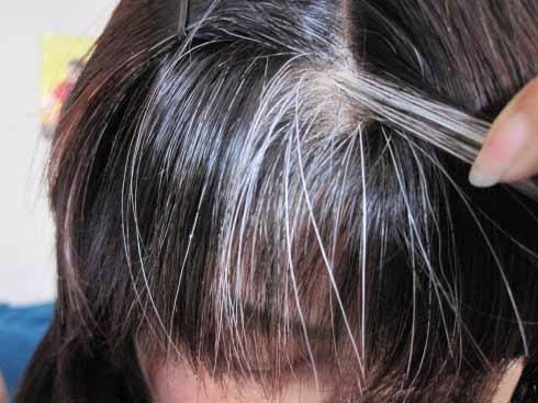 0c7a0a76609b48399bd43ff7da929e75