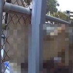 奔驰倒车甩尾撞保时捷 反遭对方当街追砍