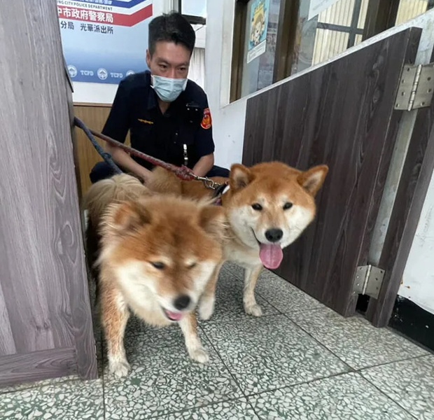 2025-05-07-496354261178578282094