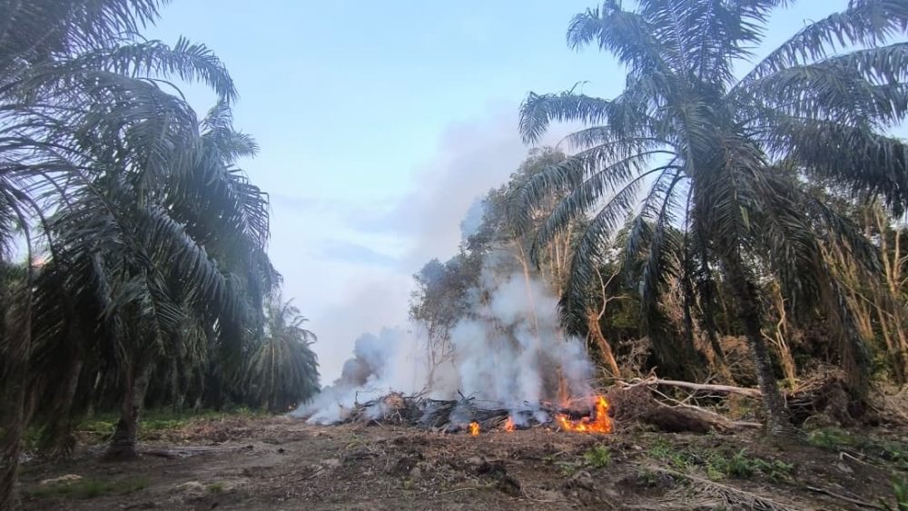 32059aec-34d6-48c8-86d7-c47827d7d1ca