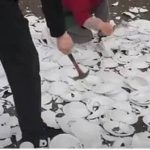 宠物进店惹争议 餐厅老板停业砸600套餐盘