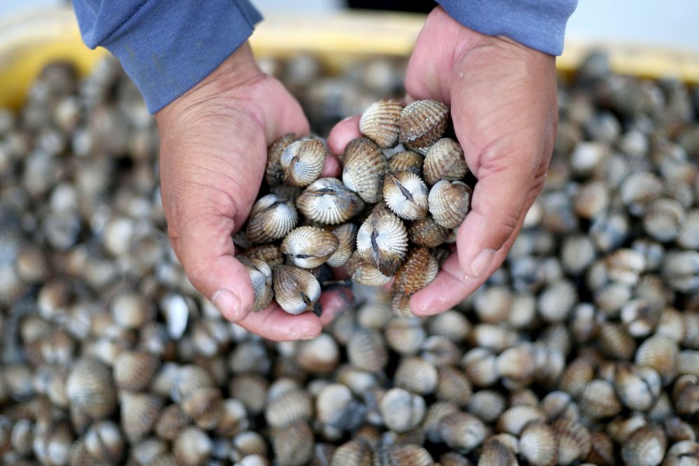 495153025_1482925706488004_8151554082065931025_n