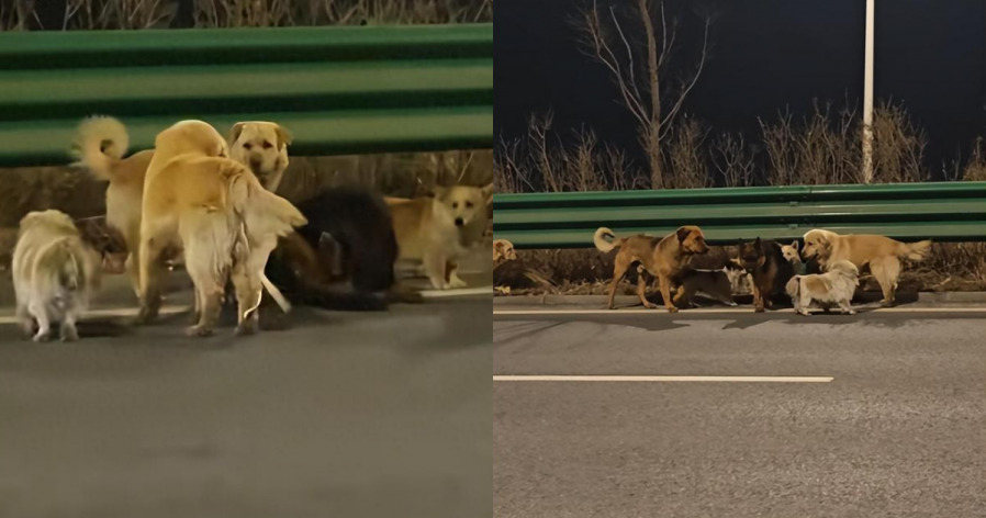 5b1ba81b82f412d853c3c862cd60c821