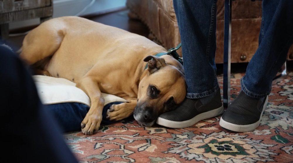 646702767_1394768536029016_6668754817939347124_n