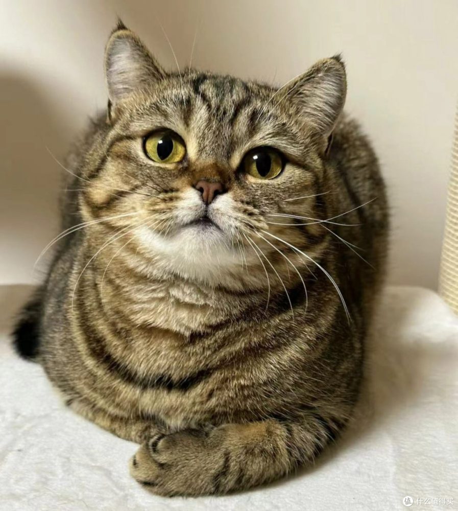 6661b3b4908201030.jpg_e1080