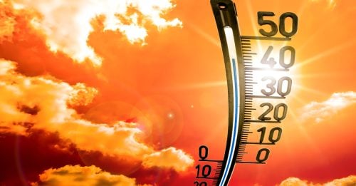 HOT-250805-1-500x261