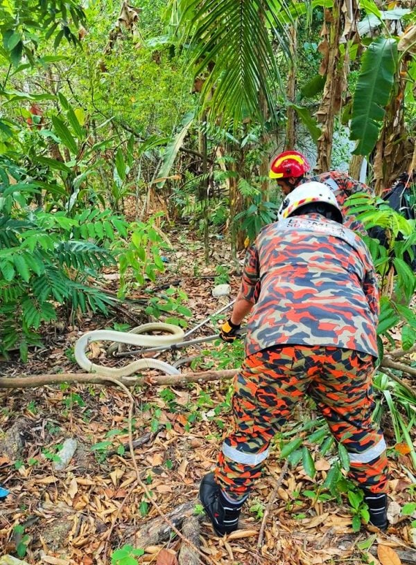 ST260304oc01-e1772632178642