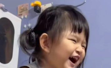 3岁华裔女童命丧车祸 家属盼查明真相讨公道