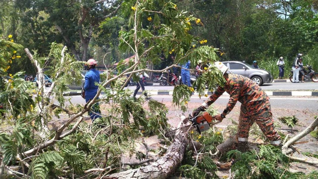 WhatsApp_Image_2026-03-16_at_1.38.11_PM