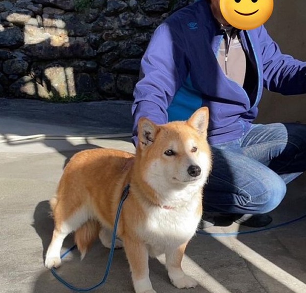 cacf80c8-9180-4bee-968c-53426c2d