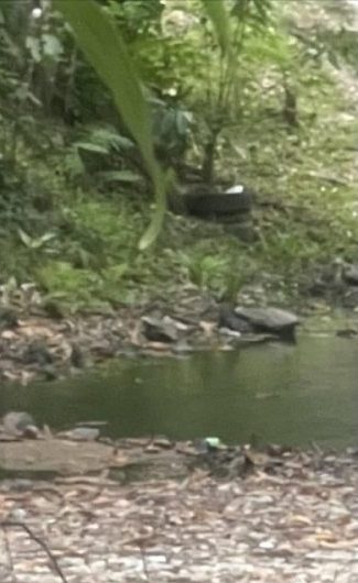 d41bd50b6a066c74468aada1c96788aa