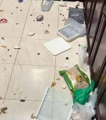 e4b8ade5ada6e7949fe68a8ae4b9bee5